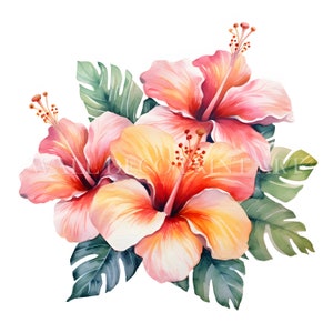 Hawaï bloemen clipart-10 hoge kwaliteit jpg's - instant digitale downloads - gratis commercieel gebruik, kunst aan de muur, Mixed media, Digital Paper Craft
