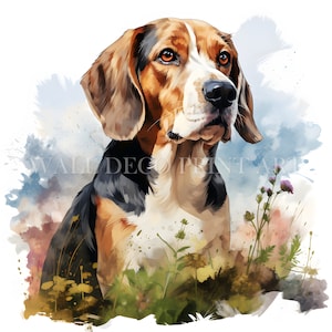Bellissimo Beagle Clipart Bundle - 10 JPG di alta qualità - Download digitale - Uso commerciale, acquerello, tecniche miste, artigianato digitale su carta, cane