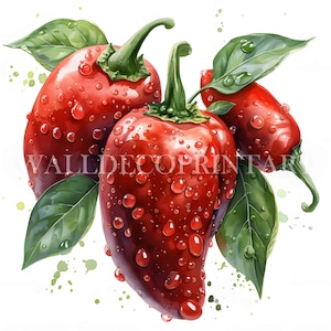 10 pacchetti di clipart di peperoncini piccanti - JPG di alta qualità - Download digitali - Uso commerciale, acquerello, tecniche miste, artigianato digitale su carta