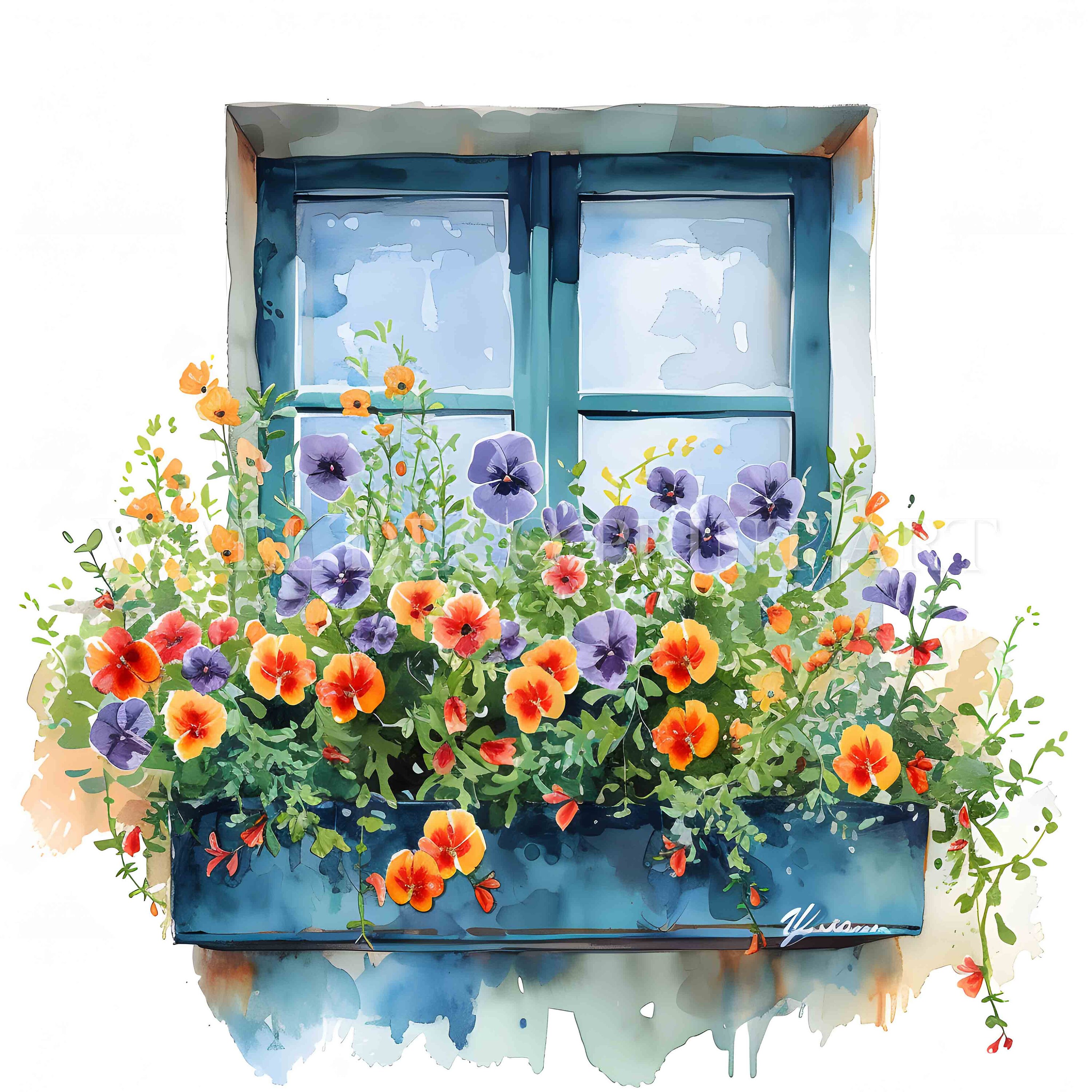 Window Box Flower Drawing Flowery Window Box 2 Clipart Bundle - 12 High Quality Jpgs - Digital ...