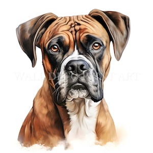 Niedliches Boxer-Welpen-Clipart-Bundle - 10 hochwertige JPGs - Digitale Downloads - Kommerzielle Nutzung, Aquarell, Mischtechnik, digitales Papiermodell