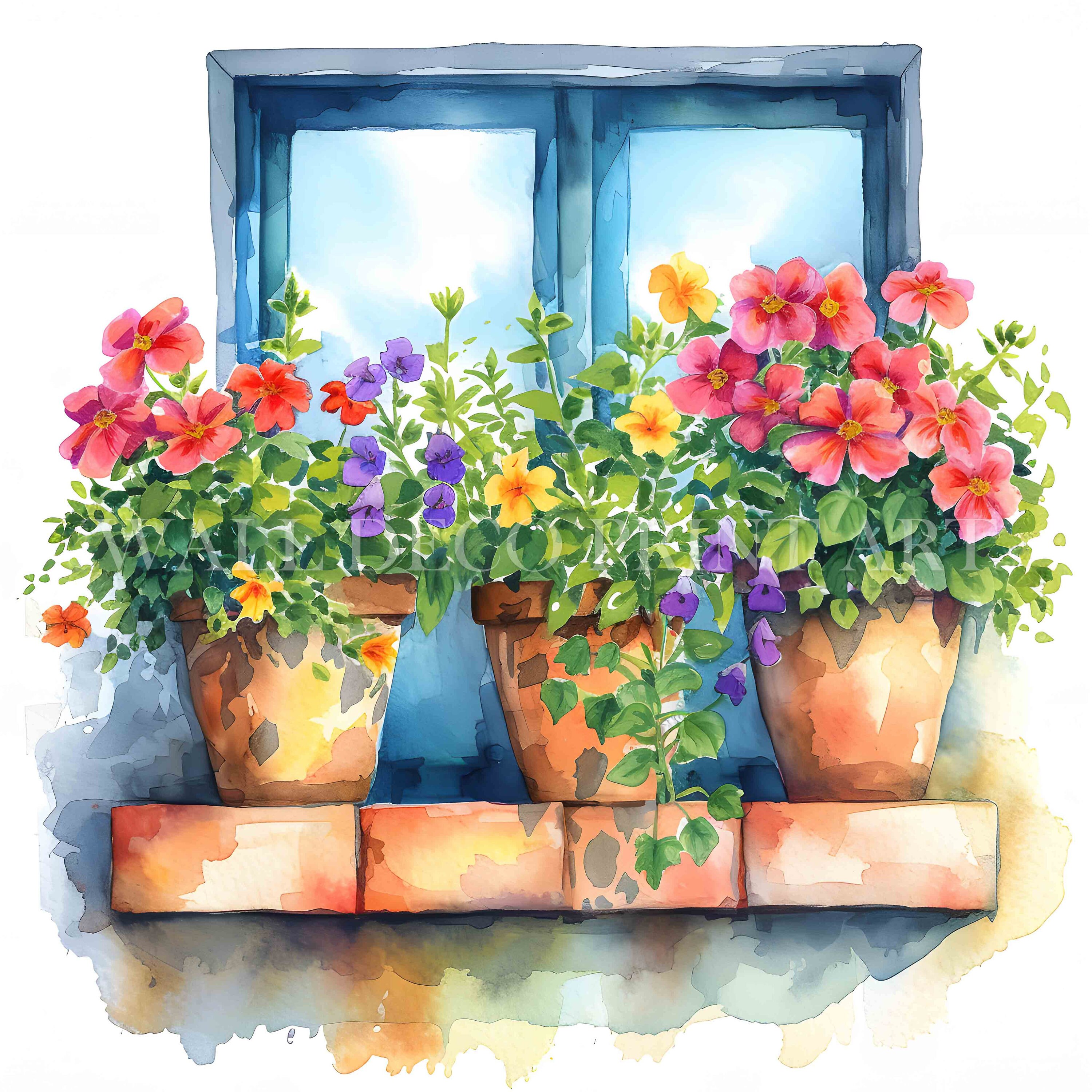 Window Box Flower Drawing Flowery Window Box 2 Clipart Bundle - 12 High Quality Jpgs - Digital ...