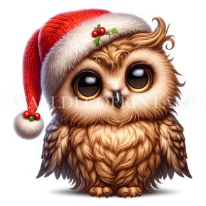 10 Cute Christmas Owl Clipart Bundle 2 - JPGs de alta qualidade - Download digital - Uso comercial, aquarela, mídia mista, artesanato em papel digital