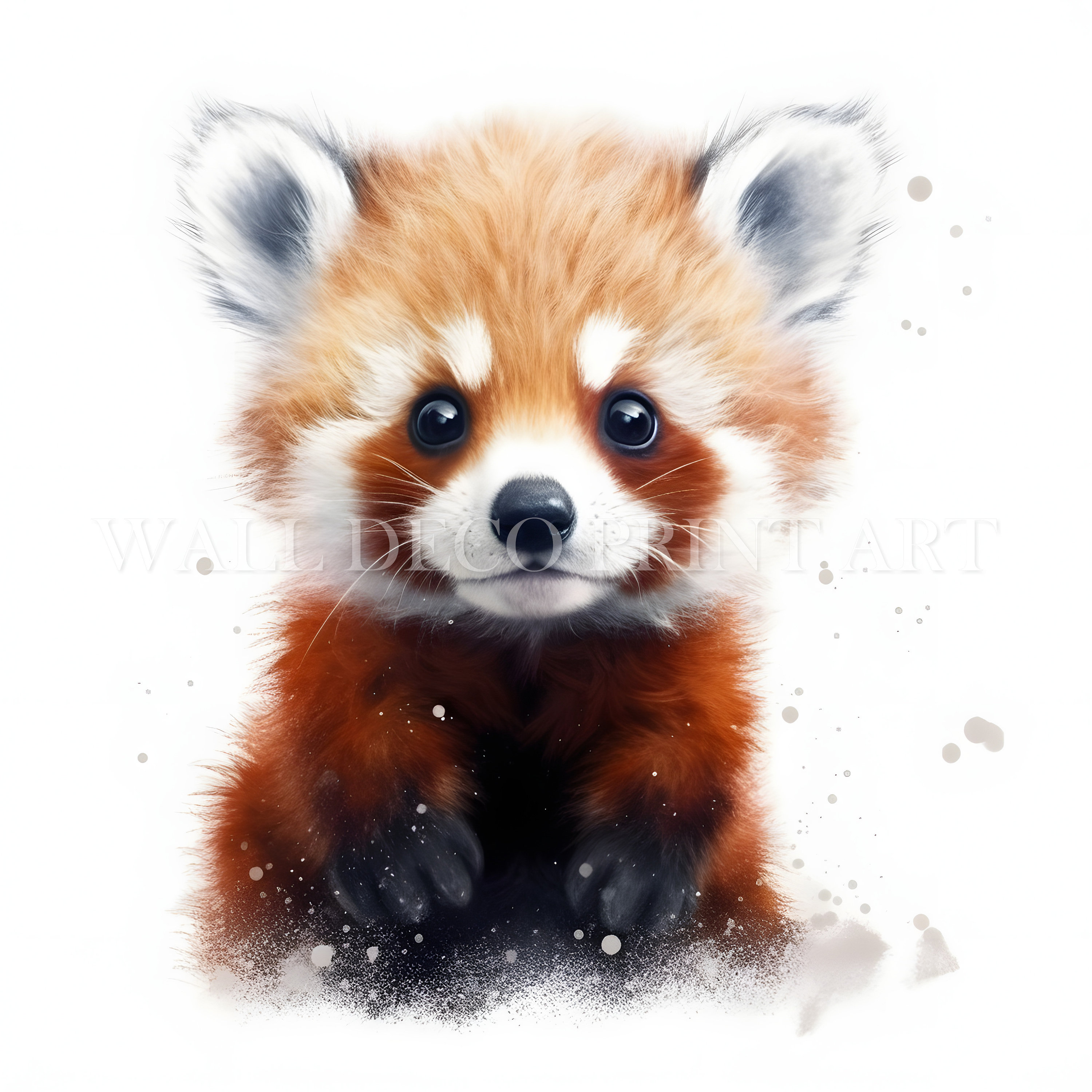 Beautiful RED PANDA Clipart Bundle 11 High Quality Jpgs - Etsy