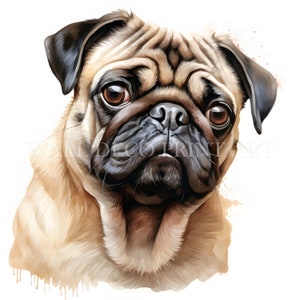 Bellissimo pacchetto di clipart di cuccioli di carlino - 10 JPG di alta qualità - Download digitali - Uso commerciale, acquerello, tecniche miste, artigianato digitale su carta