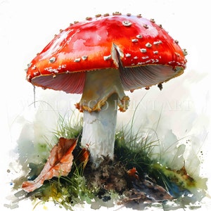 Ensemble de cliparts champignon vénéneux rouge mignon-10 fichiers JPG de haute qualité-téléchargements numériques-usage commercial, aquarelle, techniques mixtes, créations numériques en papier