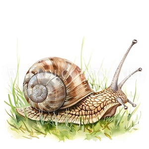 10 Süße Schnecke im Gras-Clipart-Bundle - Hochwertige JPGs - Digitale Downloads - Kommerzielle Nutzung, Aquarell, Mixed Media, Junk Journal, Pinnwand