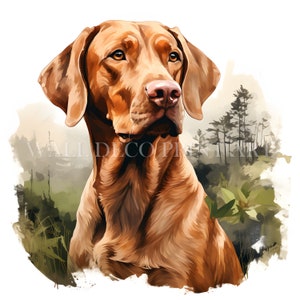 Schöne Vizsla Hund Clipart Bundle - 10 hochwertige JPGs - Digitaler Download - Kommerzielle Nutzung, Aquarell, Mischtechnik, Digitales Papier Handwerk