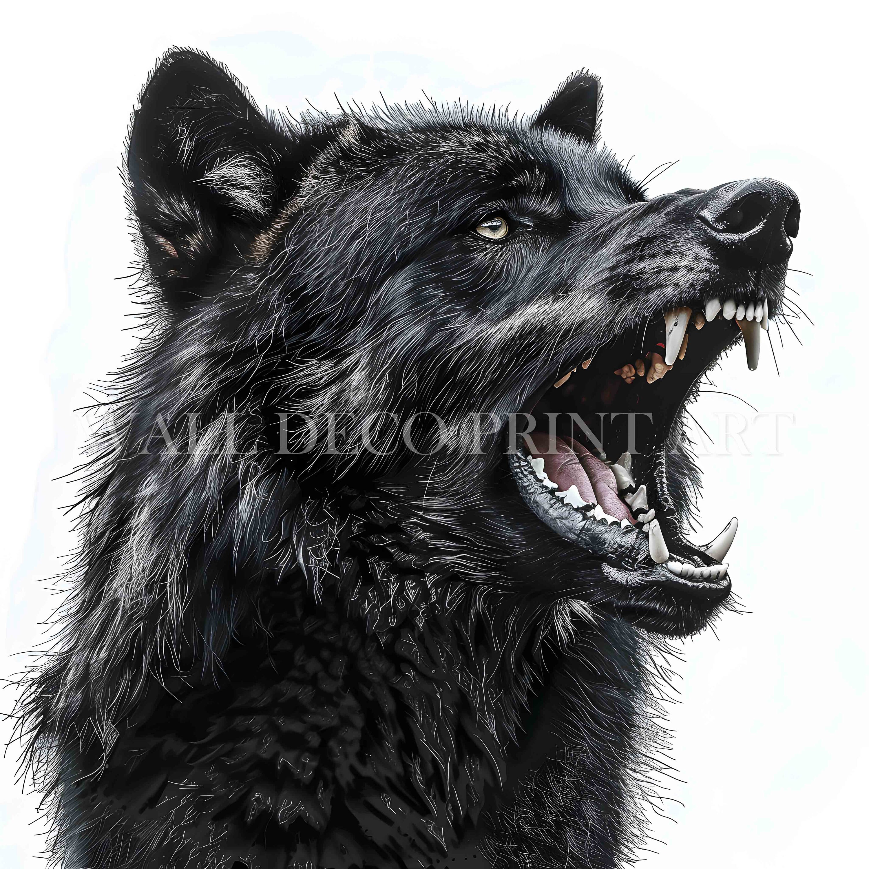 Black Wolf Clipart Bundle - 11 High Quality Images - Digital