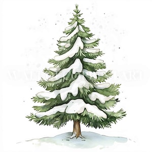 10 Alberi invernali con neve Clipart Bundle - JPG di alta qualità - Download digitale - Uso commerciale, acquerello, tecniche miste, carta digitale