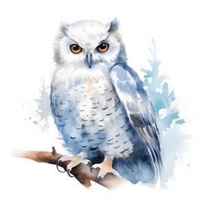 Bellissimo pacchetto di clipart di gufi - 10 JPG di alta qualità - Download digitali - Uso commerciale, acquerello, tecniche miste, artigianato digitale su carta