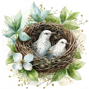 Lovely Bird Nest Clipart Bundle - 10 High Quality JPGs - Digital Downloads - Commercial Use, Watercolor, Digital Paper Craft, Cricut Design