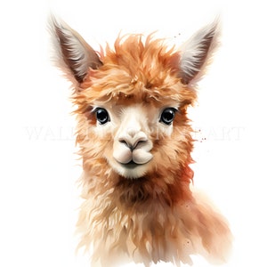 Precioso paquete de imágenes prediseñadas de alpaca: 10 archivos JPG de alta calidad, descargas digitales, uso comercial, acuarela, técnica mixta, manualidades digitales en papel