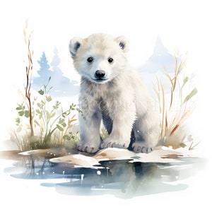 Pacchetto di clipart di orsetto polare carino - 9 JPG di alta qualità - Download digitale - Uso commerciale, acquerello, tecniche miste, artigianato digitale con carta