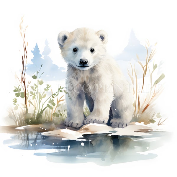 Lindo bebé oso polar Clipart Bundle - 9 JPG de alta calidad - Descarga digital - Uso comercial, acuarela, medios mixtos, artesanía de papel digital