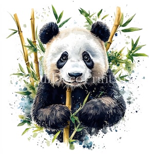 Bundle de cliparts beau panda - 10 fichiers JPG haute qualité - téléchargements numériques - utilisation commerciale, aquarelle, techniques mixtes, créations numériques en papier, mug