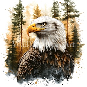 Pacote de 13 clipart de águia americana majestosa - JPGs de alta qualidade - Downloads digitais - Uso comercial, aquarela, mídia mista, papel digital, diário