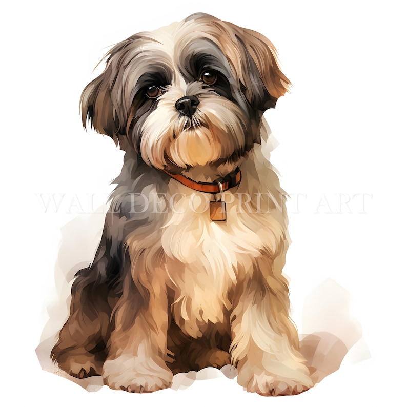Cute Shih Tzu Puppy Clipart Bundle - 10 High Quality Jpgs - Digital ...