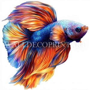 10 Vibrant Betta Fish Clipart Bundle - High Quality JPGs - Digital Downloads - Commercial Use, Watercolor, Mixed Media, Digital Paper Craft