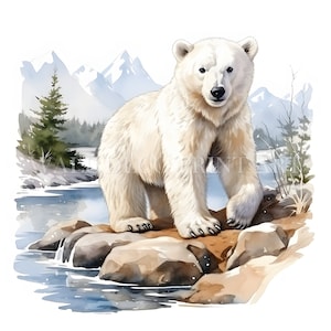 Hermoso paquete de imágenes prediseñadas de oso polar: 10 archivos JPG de alta calidad, descarga digital, uso comercial, acuarela, técnica mixta, manualidades con papel digital