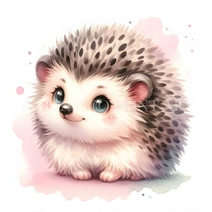 Cute Hedgehog Clipart Bundle - 5 High Quality JPG - SOFT SKETCH - Digital Download - Commercial Use, Watercolor, Mixed Media, Digital Craft