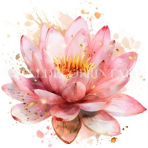 ピンクとゴールドの抽象的な蓮の花のクリップアートバンドル - 10 の高品質 JPG - デジタルダウンロード - 商用利用、印刷可能な水彩画、紙