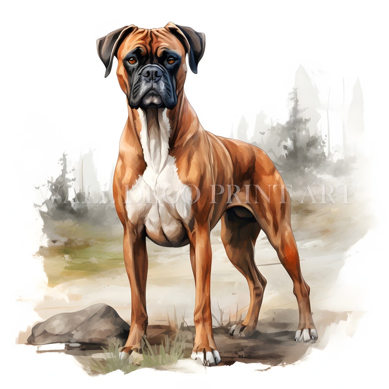 Cute Boxer Puppy Clipart Bundle - 10 High Quality Jpgs - Digital ...