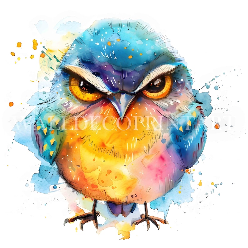 11 Cute Grumpy Bird Clipart Bundle - High Quality Jpgs - Digital ...