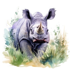 Beautiful Rhino Clipart Bundle - 8 High Quality JPGs - Digital Download Commercial Use Watercolor Mixed Media Paper Craft Mug Animal Safari