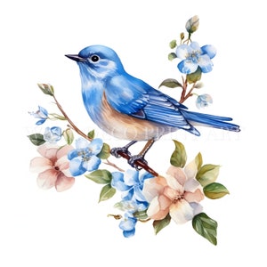 Blauer Vogel mit Blumen Clipart Bundle - 11 hochwertige JPGs - Digitale Downloads - Kommerzielle Nutzung, Aquarell, Mixed Media, Papiermodell, Tasse