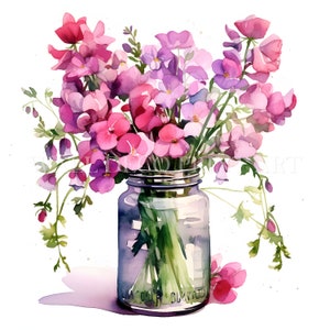Aquarell Wicken Clipart - 10 hochwertige JPGs - Sofortiger Download für kommerzielle Nutzung, lebendige Farben, digitales Papiermodell