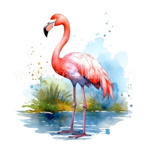Hermoso paquete de imágenes prediseñadas de flamencos: 10 archivos JPG de alta calidad, descargas digitales, uso comercial, acuarela, técnica mixta, manualidades digitales en papel