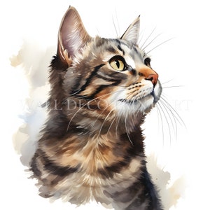 Bundle de cliparts mignon chat tigré - 10 fichiers JPG de haute qualité - téléchargements numériques - usage commercial, aquarelle, techniques mixtes, créations numériques en papier