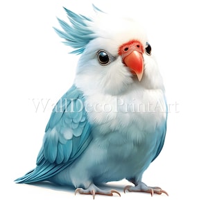 Paquete de 9 imágenes prediseñadas de cacatúas azules adorables: archivos JPG de alta calidad, descargas digitales, uso comercial, diario en papel digital con técnica mixta de acuarela