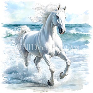 10 Ocean White Horse Clipart Bundle - JPG di alta qualità - Download digitale - Carta stampabile per tecniche miste ad acquerello per uso commerciale