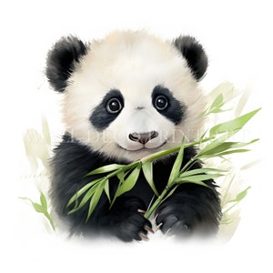 Bundle de cliparts bébé panda - 10 fichiers JPG haute qualité - téléchargements numériques - usage commercial, aquarelle, techniques mixtes, créations numériques en papier, mug