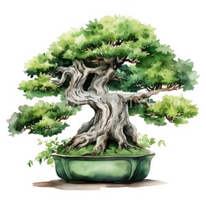 Watercolor Bonsai Clipart Bundle - 10 High Quality JPGs - Digital Downloads - Commercial Use, Watercolor, Mixed Media, Paper Craft