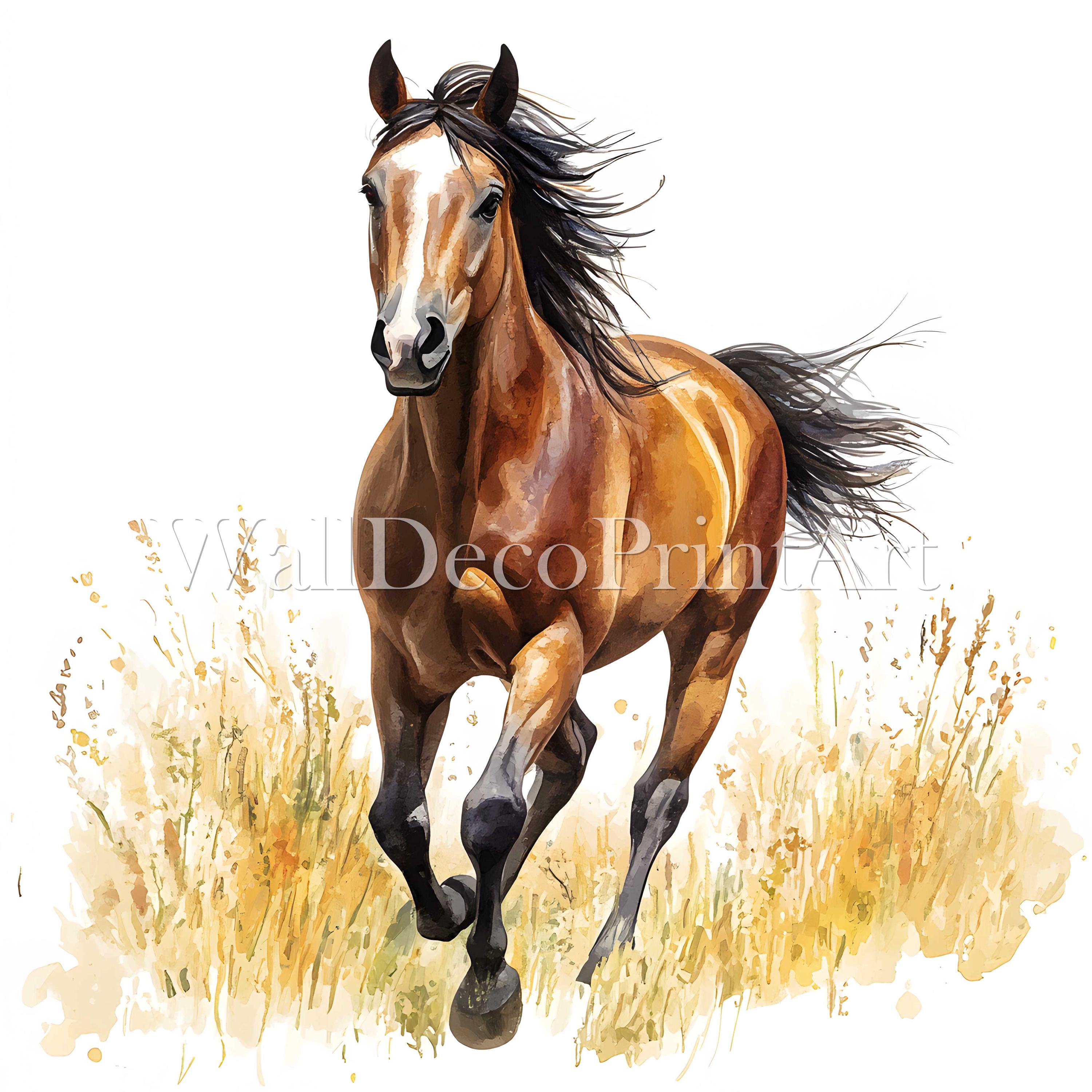 15 枚の草原の馬のクリップアート バンドル - 高品質 JPG - デジタル