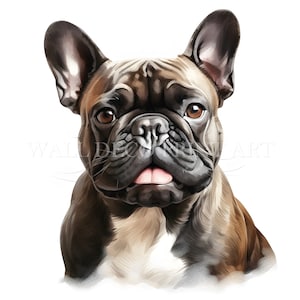 Niedliches Französische Bulldogge Clipart Bündel - 9 hochwertige JPGs - Digitale Downloads - Kommerzielle Nutzung, Aquarell, Mischtechnik, Digitales Papiermodell