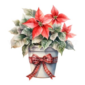 Potted Poinsettia Clipart Bundle - 12 High Quality JPG - Digital Download - Commercial Use, Watercolor, Mixed Media, Digital Paper Craft