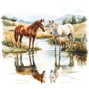 10 Horses at River Clipart Bundle - JPG di alta qualità - Download digitale - Carta stampabile per tecniche miste ad acquerello per uso commerciale