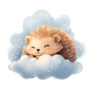 Pacote de clipart de ouriço fofo dormindo em uma nuvem - 9 JPGs de alta qualidade - Download digital - Uso comercial, aquarela, mídia mista, digital
