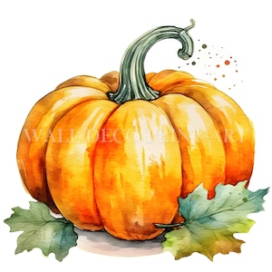 Bellissimo pacchetto di clipart di zucca - 10 JPG di alta qualità - Download digitali - Uso commerciale, acquerello, tecniche miste, artigianato digitale su carta