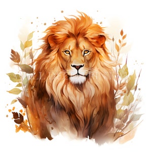 Lindo pacote de clipart de leão - 12 JPGs de alta qualidade - Downloads digitais - Uso comercial, aquarela, mídia mista, artesanato em papel digital