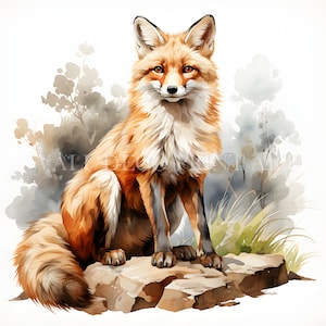 Beau renard Clipart Bundle-9 haute qualité JPG-téléchargements numériques-usage commercial, aquarelle, techniques mixtes, créations numériques, animal