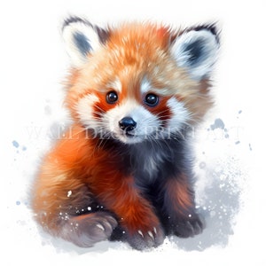Bellissimo pacchetto di clipart di PANDA ROSSO - 11 JPG di alta qualità - Download digitali - Uso commerciale, acquerello, tecniche miste, artigianato digitale su carta