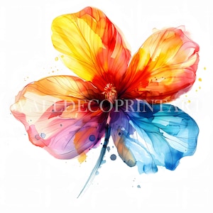 12 Rainbow Abstract Flowers Clipart Bundle - High Quality JPG - Digital Download - Commercial Use, Printable Watercolor art, Paper Craft