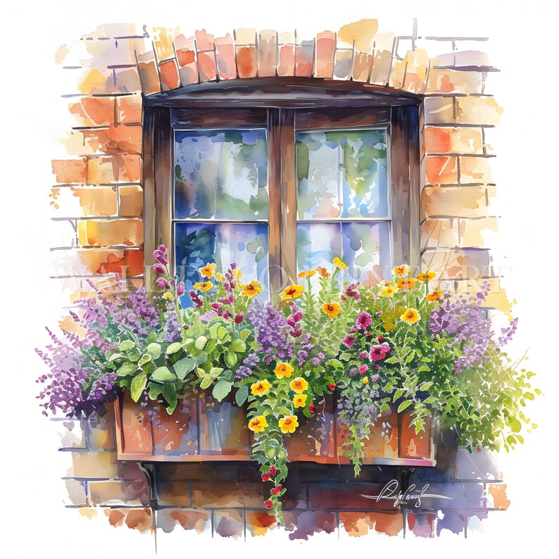 Window Box Flower Drawing Flowery Window Box Clipart Bundle - 12 High Quality Jpgs - Digital ...