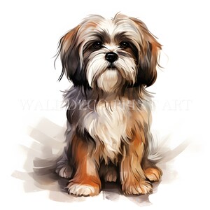 Cute Shih Tzu Puppy Clipart Bundle - 10 High Quality Jpgs - Digital ...