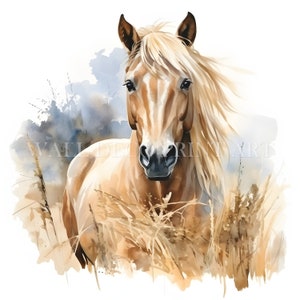 Beautiful Horse and Hay Clipart Bundle - 10 High Quality JPGs - Digital Downloads - Commercial Use, Watercolor, Mixed Media, Digital Craft